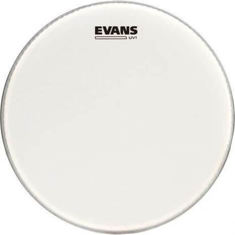 Δέρμα Evans Bd16Uv1 Coated Κάσας 16" 