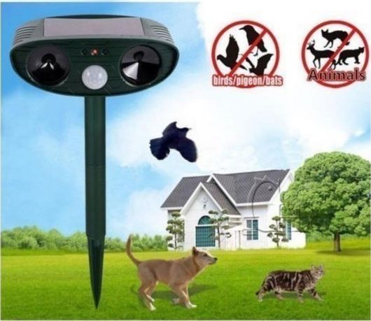 Πάσσαλος Απώθησης Πουλιών