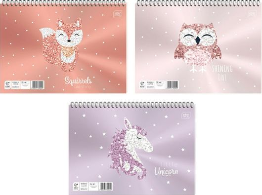 Μπλοκ Ζωγραφικής Interdruk Shiny Girls 40 Φύλλων σε Διάφορα Σχέδια