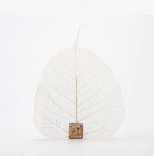 Φίλτρο Τσαγιού από Φύλλα Bodhi