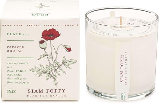Αρωματικό Κερί Σόγιας Kobo Plant The Box Siam Poppy