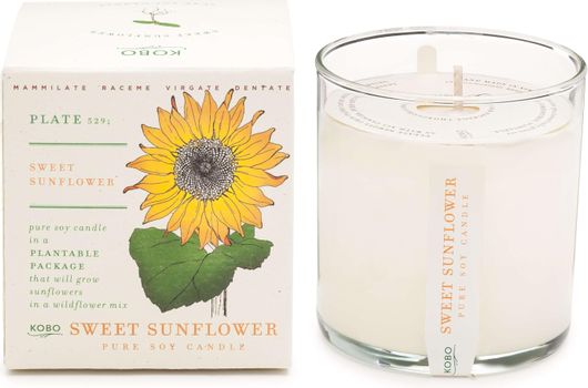 Αρωματικό Κερί Σόγιας Kobo Plant The Box Sweet Sunflower