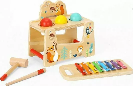 Μεταλλόφωνο Tooky Toys Ξύλινο για 3+ Ετών