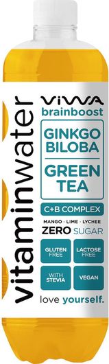 Βιταμινούχο Νερό Viwa Brain Boost με Μάνγκο, Lime & Gingko Biloba 0.6lt