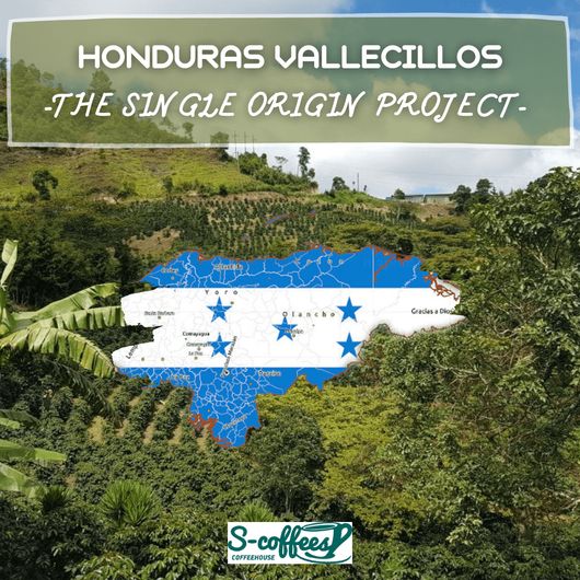 Καφές S-Coffees Honduras Vallecillos 250gr