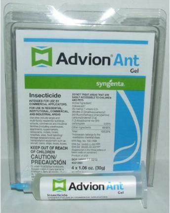 Syngenta Advion Ant Gel για Μυρμήγκια 30gr