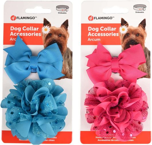 Αξεσουάρ Κολάρου για Σκύλο Ματζέντα