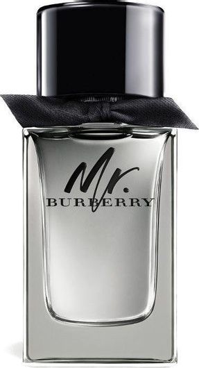 Burberry Mr. Burberry Eau de Toilette 100ml