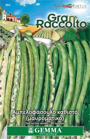 Σπόροι Gemma Φασόλι Αμπελοφάσουλο Νάνο 853