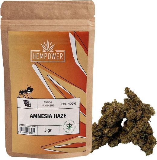 Ανθός Κάνναβης Hempower Amnesia Haze με 100% CBG 3gr