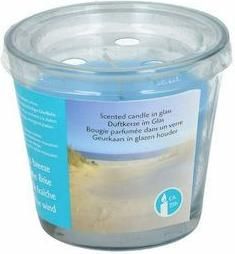 Αρωματικό Κερί Χώρου σε Γυάλινο Δοχείο Διάρκειας 25 Ωρών 145gr 8x8x8cm Cool Breeze