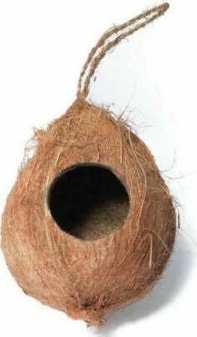 Κρυψώνα για Ενυδρεία Ερπετών GiganTerra Coco House Φυσική Κρεμαστή Κοκοφοίνικα 15x10cm