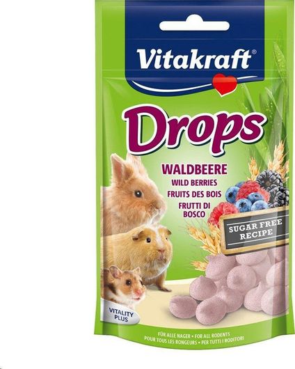 Τροφή Τρωκτικών Vitakraft Λιχουδιά Κουνελιού Wildberry 75gr