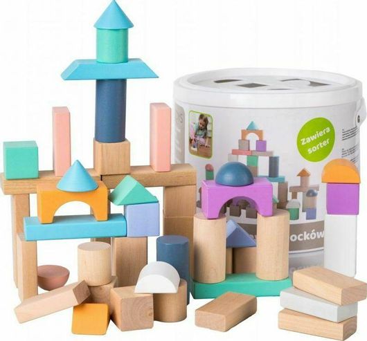 Σετ Ξύλινα Τουβλάκια 50τμχ Ecotoys για 3+ Ετών