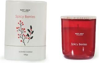 Αρωματικό Κερί Nef-Nef Spicy Berries 180gr