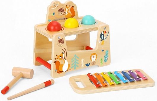 Μεταλλόφωνο Tooky Toys Ξύλινο για 3+ Ετών