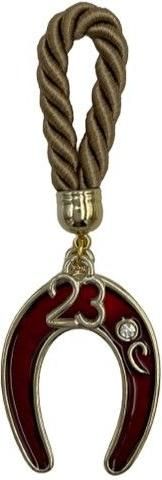 Γούρι Fysalis Κρεμαστό 2023 Μεταλλικό Πέταλο 10cm GK40