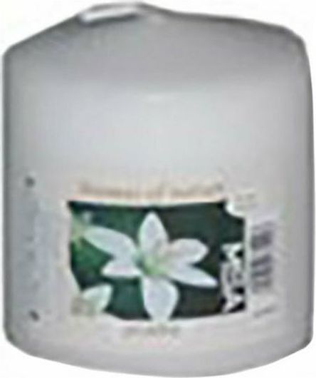 Αρωματικό Κερί Domus Homus Jasmine 20-37-230 5x6cm