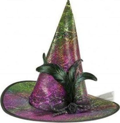 Αποκριάτικο Αξεσουάρ Widmann Καπέλο Μάγισσας με Φτερό