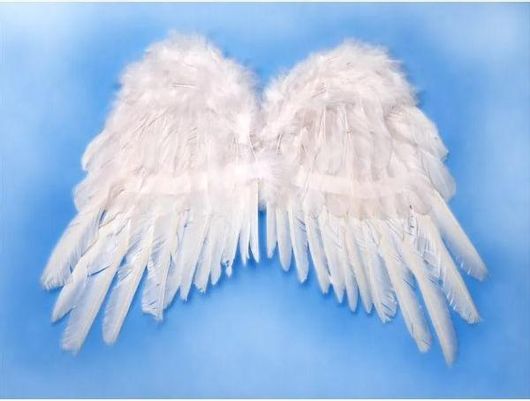 Αποκριάτικη Παιδική Στολή PartyDeco Φτερά Αγγέλου