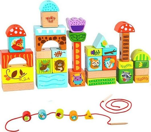 Τουβλάκια Tooky Toys TY849 για 12+ Μηνών 12τμχ