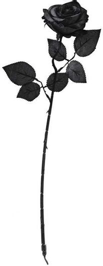 Αποκριάτικο Αξεσουάρ GingerRay Υφασμάτινο Τριαντάφυλλο Μαύρο