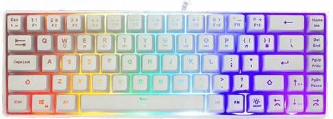 Gaming Πληκτρολόγιο White Shark Ronin 60% με RGB Φωτισμό Αγγλικό US Λευκό