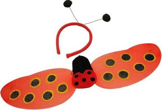 Σετ Μεταμφίεσης Πασχαλίτσα