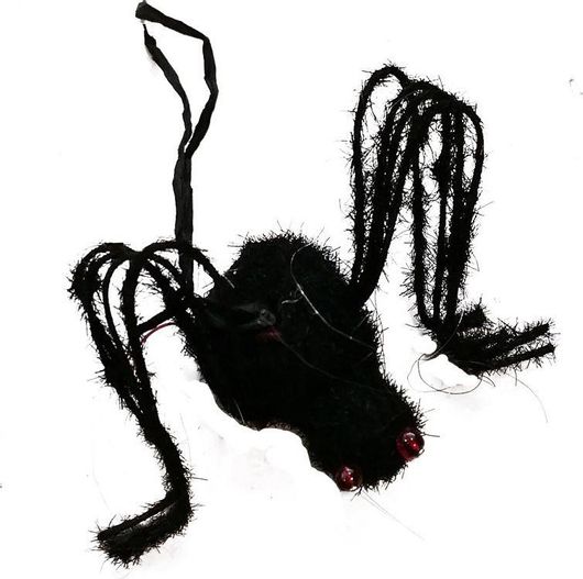 Ταραντούλα σε Μινιατούρα