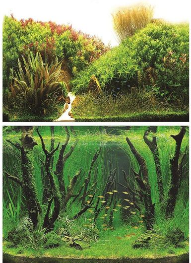 Διακοσμητική Αφίσα 182.21 Ενυδρείου 40cm 1m