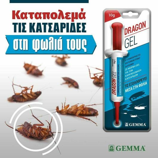 Εντομοκτόνο Gel Gemma Dragon για Κατσαρίδες 10gr