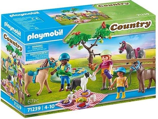 Playmobil Country Πικ Νικ στην Εξοχή #71239