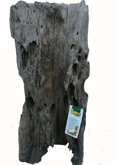 Διακοσμητικό Ενυδρείου Tatrapet 185.24 45-55cm Mangrowe Pookaholes