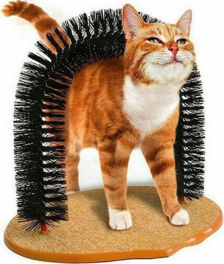 Παιχνίδι Γάτας Forcats Purrfect Arch