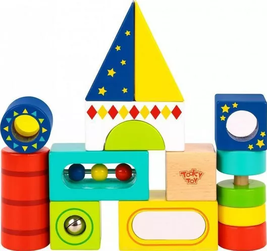 Ξύλινα Τουβλάκια Tooky Toys Δραστηριοτήτων για 12+ Μηνών 13τμχ