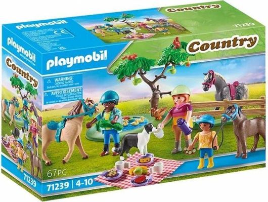 Playmobil Country Πικ Νικ στην Εξοχή για 4+ Ετών #71239