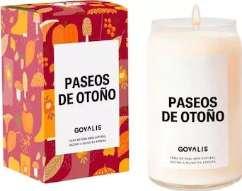 Διακοσμητικό Κερί Govalis S4517139 σε Βάζο Λευκό