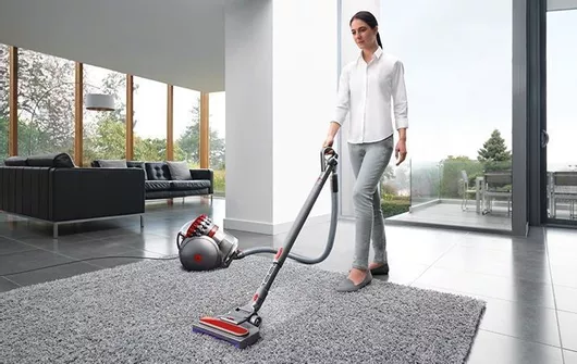Ηλεκτρική Σκούπα Dyson CY26 Big Ball Absolute 2 160W με Κάδο 7.8lt Γκρι