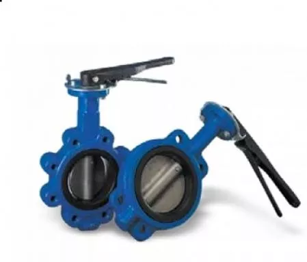 Δικλίδα Πεταλούδας 12 IVR