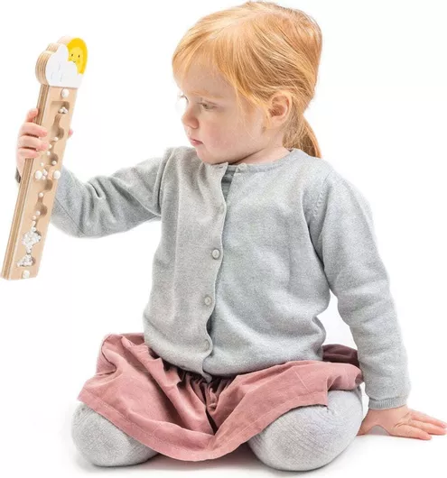 Μουσικό Παιχνίδι Μαράκες Tender Leaf Toys Rainmaker Ξύλινες για 18+ Μηνών