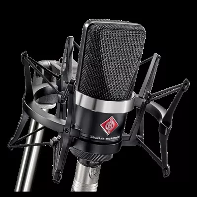 Επαγγελματικό Μικρόφωνο Neumann TLM 102 Studio Set Πυκνωτικό Shock Mounted / Clip On Φωνής Μαύρο