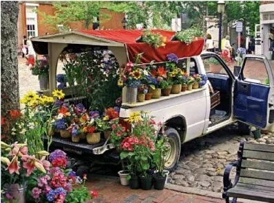 Puzzle Λουλούδια 2D 1000 Κομμάτια