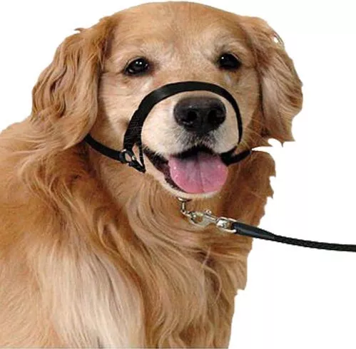 Φίμωτρo Σκύλου Easy Leader Εκπαιδευτικό XSmall Μαύρο