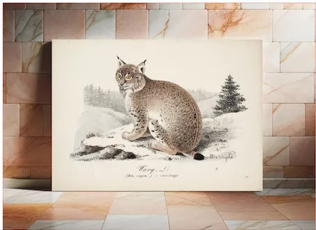 Πίνακας iLovePrints ILP-2420769 Μονόπτυχος σε Καμβά Wolf-coloured Lynx In Winter Coat, 1829, Magnus Von Wright 30x20cm
