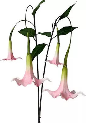 Τεχνητό Φυτό ΑΝΘ-BRUG-83PIN Μπρουγκμάνσια 83cm Ροζ