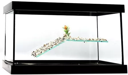 Χελωνιέρα Greek Colal Fish Γυάλινη 40x20x20cm Μαύρο