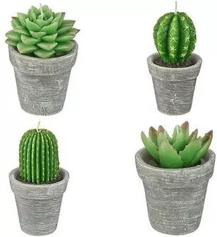 Κερί Plastona Διακοσμητικό Κάκτος σε Βάζο 14cm