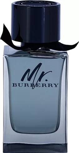 Burberry Mr. Burberry Eau de Toilette 50ml