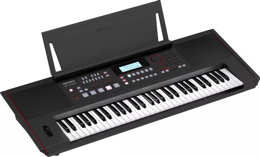 Arranger Roland E-X50 με 61 Βαρυκεντρισμένα Πλήκτρα Μαύρο