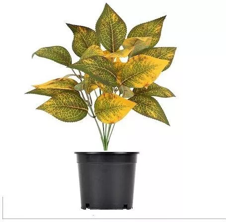 Τεχνητό Φυτό σε Γλαστράκι AL-Tea,leaf2 33cm 1τμχ